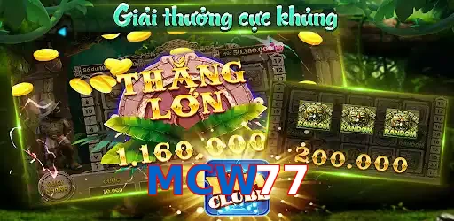 MCW77